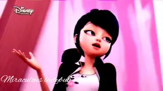 song Baby girl  miraculous AMV  || miraculous ladybug ||