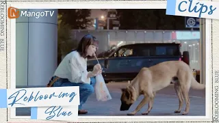 【ENG SUB】CLIPS: Who deserves the promotion | Reblooming Blue｜MangoTV Drama