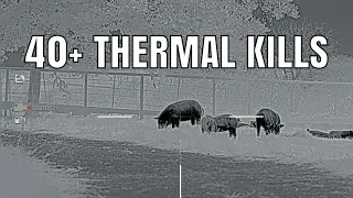 40+ THERMAL KILLS