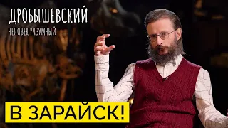 Как древние жили в Подмосковье — на Зарайский стоянке / Дробышевский. Человек разумный