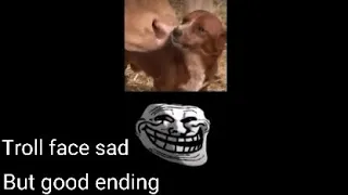 troll face sad, but good ending