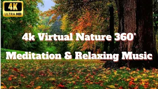 4k Virtual Nature 360°   Meditation & Relaxing Music I NO CopyRight 432Hz