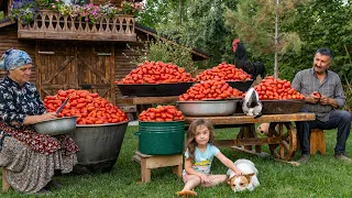 "From Garden to Pantry: Harvesting, Peeling, and Preserving Perfect Tomatoes"