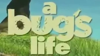 A Bug's Life - Disneycember