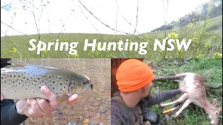 Spring Hunting NSW - (How wet weather affects our game) Deer Pigs Ducks Trout
