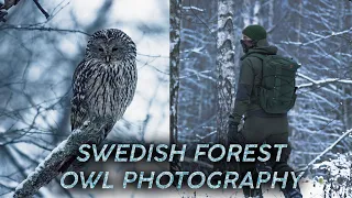 URAL OWL PHOTOGRAPHY - CANON R5 SIGMA 150-600