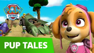 PAW Patrol - Pups Save Ace's Birthday Surprise - Rescue Episode - PAW Patrol Official & Friends!