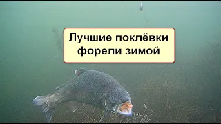 Лучшие поклёвки форели зимой снятые на подводную камеру FocusFish, подводные съёмки