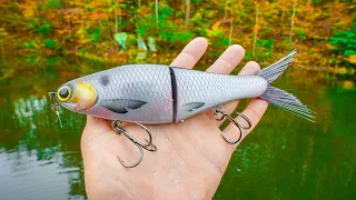 NEW SWIMBAIT Catches GIANT Bass On Second Cast & Sharing The MegArig!! (you have to see it)