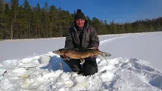 Рыбалка!!!Такого Улова Мы не Ожидали!Ловим Щуку!Живём в Лесной Избе!