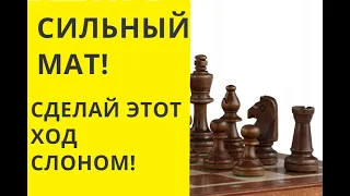 Шахматы. СИЛЬНЫЙ МАТ. СДЕЛАЙТЕ ЭТОТ ХОД СЛОНОМ ! Онлайн. Бесплатно. Играющие. Играть с компьютером