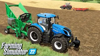 Sadzenie trzciny cukrowej - Farming Simulator 22 | #41