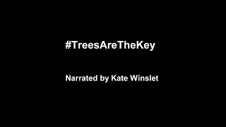 Trailer for #TreesAreTheKey: narrated by Kate Winslet, a film by Tim Short