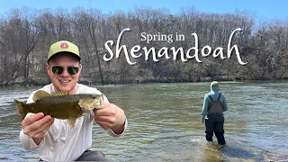 Shenandoah River Wade Fishing & Cabin Experience!
