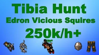 Tibia Hunt: Lvl 50 EK PG Edron Vicious Squires 250k/h Exp