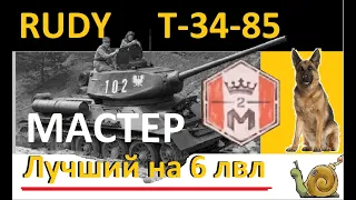 Т-34-85  Руди - СТРЯХНИ ПЫЛЬ