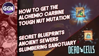 How to get the Alchemic Carbine and the Tough Nut Mutation | Secret Blueprints | Dead Cells