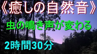 《癒しの自然音》1分ごとに虫の鳴き声が変わる【2時間30分】（虫が鳴く静かな夏の夜）安らぎ・ﾘﾗｯｸｽ・ﾘﾌﾚｯｼｭ・ｽﾄﾚｽ解消・安眠・快眠・熟睡