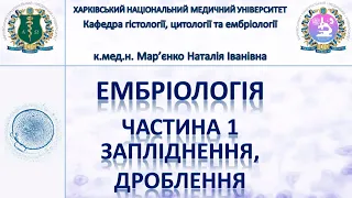 Ембріологія людини 1. Гамети, запліднення, дроблення, імплантація