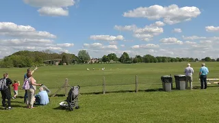 Old Warden Free Flight