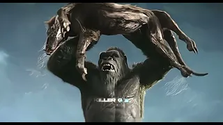Kong vs Wart Dogs 4K Scene |Godzilla X Kong The New Empire|