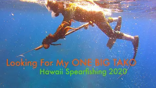 Looking For My ONE BIG TAKO | Catch & Cook Tako Carpaccio | Hawaii Spearfishing 2020