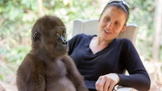 Charity Promotional Video Ape Action Africa