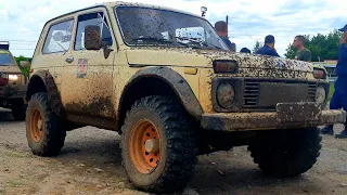 Нива на 31 колесах. Safari 500. Покатушки Offroad. 4x4. Ved_Rover