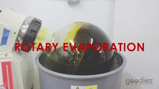 Rotary Evaporator - Cannabis Extract Process