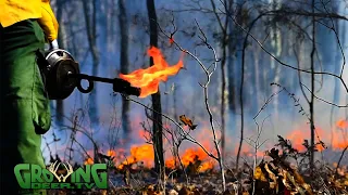 Prescribed Fire Tips And Techniques (683)