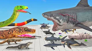 The Toughest of All - Who is The Boss - Megalodon or Giant Titanoboa - Animal Revolt Battle Simulato