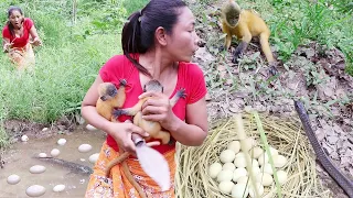 Top 6 Video about Baby monkey rescue, Catch and cooking for survival,  Fish curry and Chicken egg