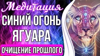 СИНИЙ ОГОНЬ ЯГУАРА 🔥 Мощная Чистка Прошлых Негативных Событий