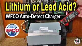 Lithium or Lead Acid? WFCO Auto-Detect RV Converter Charger (Lead Acid/AGM & LiFEP04 compatible)