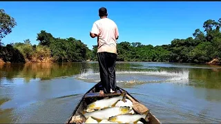 Dourados, trairas, curimbas, piaus, pacus Aventura+pescaria acampamento