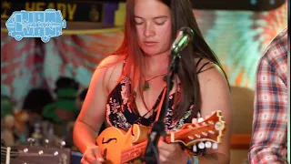 AJ LEE & BLUE SUMMIT - Jam in the Van (Full set Live at Whale Rock Music Festival 2021) #JAMINTHEVAN