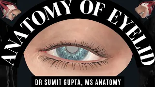 ANATOMY OF EYELID : Structure