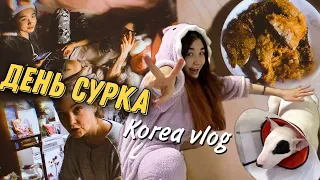 День сурка/Что мы едим в Корее когда лень готовить/KOREA VLOG