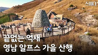 영남알프스 간월재 신불산 1,159m⛰️ 회사 뒷산이 이렇게 이쁠 일?🍂ㅣ간월재 억새밭에 스미다 🌾