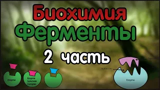 Биохимия. Лекция 22. Ферменты. Part 2.