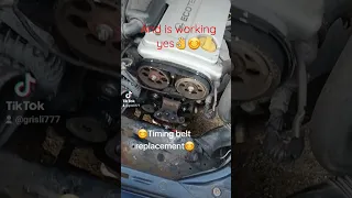 Opel astra G 1,4 Timing belt change😊👌💪