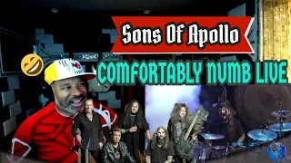 Sons Of Apollo   Comfortably Numb Live with The Plovdiv Psychotic Symphony - Producer Reaction