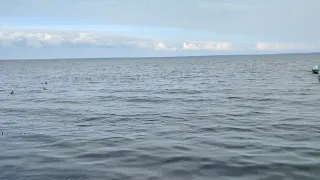 Абиссинская скважина на Плещеевом озере в Переславле-Залесском.