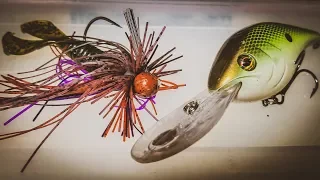 How To Catch Bass During The Summer To Fall Transition