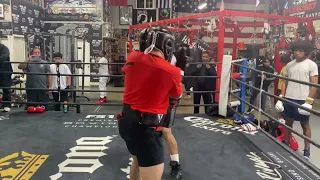 Sparring archive #4