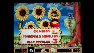 HONEY BEE auf 1€ Geockt! Freisielgewinn am Merkur Spielautomat! Tr5 Casino