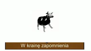 Польская корова полная песня со словами...