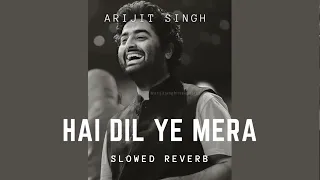 Hai Dil Ye Mera | Slowed Reverb | Arijit Singh | Lyrics In Description