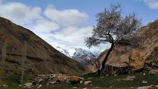 Вело Памир, день 12. Таджикистан