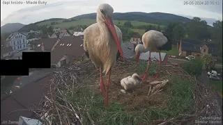 Bety střídá Bukyho s večeří pro mladobuckého dráčka 26.5.24